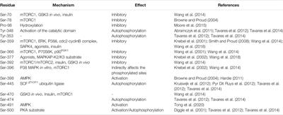 Insights Into the Pathologic Roles and Regulation of Eukaryotic Elongation Factor-2 Kinase